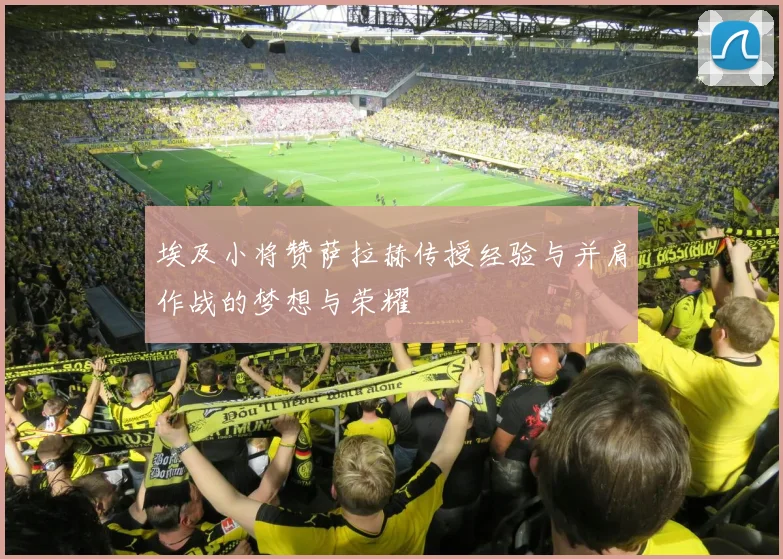 埃及小将赞萨拉赫传授经验与并肩作战的梦想与荣耀
